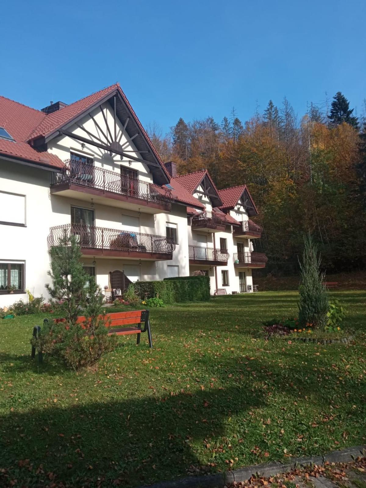 Belweder Apartamenty I Pokoje Wisla Luaran gambar
